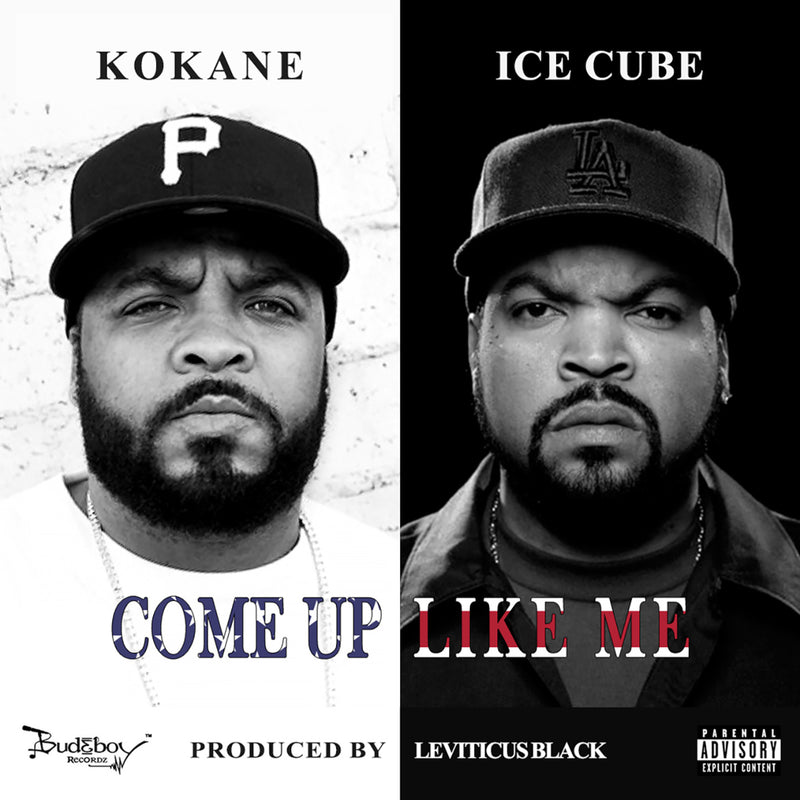 Album Artwork