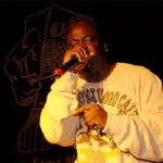 KMG the Illustrator