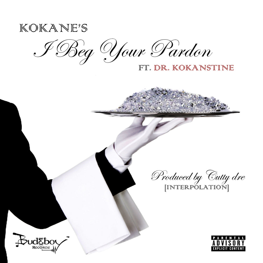 I Beg Your Pardon [Digital Single]
